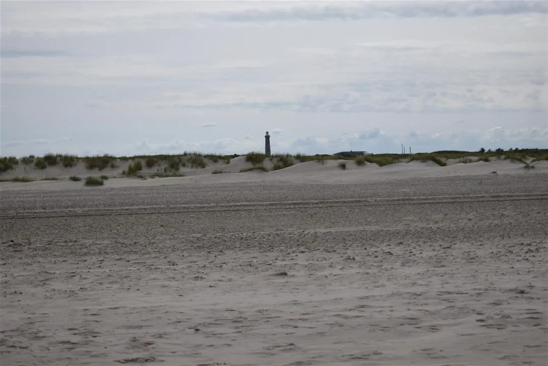 G22.2 grenen and the sandormen sat 22 jul (30)